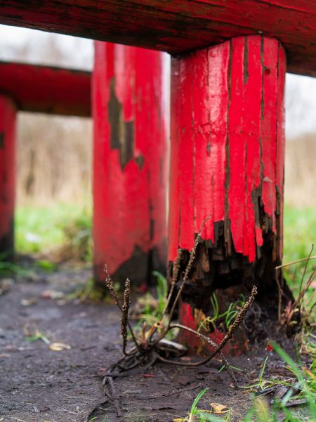 Cost of Rotten Column Replacement in Powell